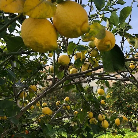 La Casa Bianca 别墅